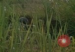 Standbild United States Marine Division 3 Vietnam, 1968, aus Sekunde 45 historischem Filmmaterial Videoclip 65675070733