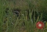 Standbild United States Marine Division 3 Vietnam, 1968, aus Sekunde 46 historischem Filmmaterial Videoclip 65675070733