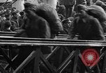 Image of English officers Scotland, 1917, second 14 stock footage video 65675070742