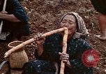 Immagine di Stati Uniti1O DIVISIONE NAUTICA Okinawa isole Ryukyu, 1945, secondo 47 filmato di repertorio 65675070752