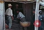 Standbild Rehabilitation von Einheimischen Okinawa Ryukyu Inseln, 1945, aus Sekunde 1 historischem Filmmaterial Videoclip 65675070758