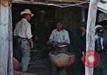 Standbild Rehabilitation von Einheimischen Okinawa Ryukyu Inseln, 1945, aus Sekunde 3 historischem Filmmaterial Videoclip 65675070758