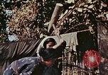 Image Réhabilitation des autochtones sur Okinawa en Seconde Guerre Mondiale Okinawa îles Ryukyu, 1945, de la seconde 10 séquences d'archives historiques vidéo 65675070759