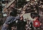 Image Réhabilitation des autochtones sur Okinawa en Seconde Guerre Mondiale Okinawa îles Ryukyu, 1945, de la seconde 12 séquences d'archives historiques vidéo 65675070759