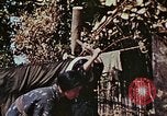 Image Réhabilitation des autochtones sur Okinawa en Seconde Guerre Mondiale Okinawa îles Ryukyu, 1945, de la seconde 15 séquences d'archives historiques vidéo 65675070759