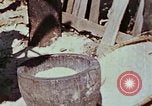Image Réhabilitation des autochtones sur Okinawa en Seconde Guerre Mondiale Okinawa îles Ryukyu, 1945, de la seconde 18 séquences d'archives historiques vidéo 65675070759