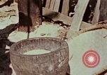 Image Réhabilitation des autochtones sur Okinawa en Seconde Guerre Mondiale Okinawa îles Ryukyu, 1945, de la seconde 24 séquences d'archives historiques vidéo 65675070759