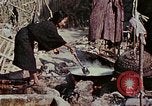 Image Réhabilitation des autochtones sur Okinawa en Seconde Guerre Mondiale Okinawa îles Ryukyu, 1945, de la seconde 50 séquences d'archives historiques vidéo 65675070759