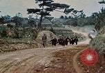 Image États-Unis 1re Division maritime Okinawa îles Ryukyu, 1945, de la seconde 5 séquences d'archives historiques vidéo 65675070761