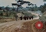 Image États-Unis 1re Division maritime Okinawa îles Ryukyu, 1945, de la seconde 7 séquences d'archives historiques vidéo 65675070761