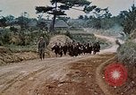 Image États-Unis 1re Division maritime Okinawa îles Ryukyu, 1945, de la seconde 9 séquences d'archives historiques vidéo 65675070761