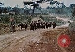 Image États-Unis 1re Division maritime Okinawa îles Ryukyu, 1945, de la seconde 13 séquences d'archives historiques vidéo 65675070761