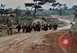 Image États-Unis 1re Division maritime Okinawa îles Ryukyu, 1945, de la seconde 14 séquences d'archives historiques vidéo 65675070761