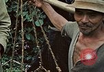 Standbild USA 1st Marine Division Okinawa Ryukyu Inseln, 1945, aus Sekunde 46 historischem Filmmaterial Videoclip 65675070764