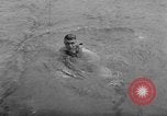 Image of ditching course Annapolis Maryland USA, 1951, second 32 stock footage video 65675070769