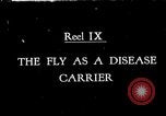 Image of fly-disease carrier United States USA, 1924, second 1 stock footage video 65675070771