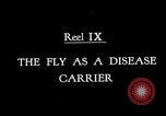 Image of fly-disease carrier United States USA, 1924, second 5 stock footage video 65675070771