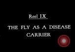 Image of fly-disease carrier United States USA, 1924, second 7 stock footage video 65675070771