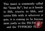 Image of fly-disease carrier United States USA, 1924, second 27 stock footage video 65675070771
