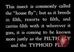 Image of fly-disease carrier United States USA, 1924, second 28 stock footage video 65675070771