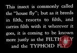 Image of fly-disease carrier United States USA, 1924, second 29 stock footage video 65675070771