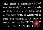 Image of fly-disease carrier United States USA, 1924, second 38 stock footage video 65675070771