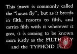 Image of fly-disease carrier United States USA, 1924, second 39 stock footage video 65675070771
