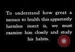 Image of fly-disease carrier United States USA, 1924, second 58 stock footage video 65675070771