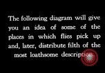 Image of fly-disease carrier United States USA, 1924, second 1 stock footage video 65675070772