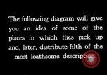 Image of fly-disease carrier United States USA, 1924, second 6 stock footage video 65675070772