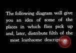Image of fly-disease carrier United States USA, 1924, second 13 stock footage video 65675070772