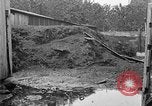 Image of fly-disease carrier United States USA, 1924, second 33 stock footage video 65675070772