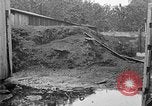 Image of fly-disease carrier United States USA, 1924, second 36 stock footage video 65675070772