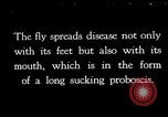 Standbild fly-Krankheit Träger United States USA, 1924, aus Sekunde 1 historischem Filmmaterial Videoclip 65675070773