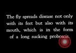 Standbild fly-Krankheit Träger United States USA, 1924, aus Sekunde 4 historischem Filmmaterial Videoclip 65675070773