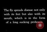 Standbild fly-Krankheit Träger United States USA, 1924, aus Sekunde 7 historischem Filmmaterial Videoclip 65675070773