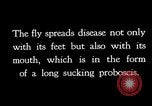 Standbild fly-Krankheit Träger United States USA, 1924, aus Sekunde 9 historischem Filmmaterial Videoclip 65675070773