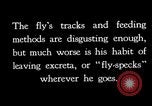Image of fly-disease carrier United States USA, 1924, second 6 stock footage video 65675070774