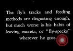 Image of fly-disease carrier United States USA, 1924, second 11 stock footage video 65675070774