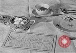 Image of fly-disease carrier United States USA, 1924, second 14 stock footage video 65675070774