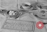Image of fly-disease carrier United States USA, 1924, second 15 stock footage video 65675070774