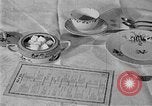 Image of fly-disease carrier United States USA, 1924, second 17 stock footage video 65675070774