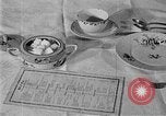 Image of fly-disease carrier United States USA, 1924, second 18 stock footage video 65675070774