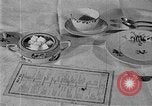 Image of fly-disease carrier United States USA, 1924, second 20 stock footage video 65675070774