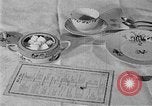 Image of fly-disease carrier United States USA, 1924, second 21 stock footage video 65675070774