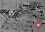 Image of fly-disease carrier United States USA, 1924, second 22 stock footage video 65675070774