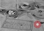 Image of fly-disease carrier United States USA, 1924, second 23 stock footage video 65675070774