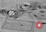 Image of fly-disease carrier United States USA, 1924, second 24 stock footage video 65675070774