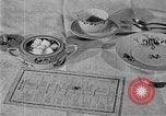 Image of fly-disease carrier United States USA, 1924, second 25 stock footage video 65675070774