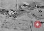 Image of fly-disease carrier United States USA, 1924, second 26 stock footage video 65675070774